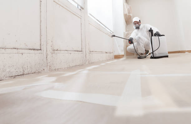 24/7 Emergency Mold Testing experts in Yeagertown, PA