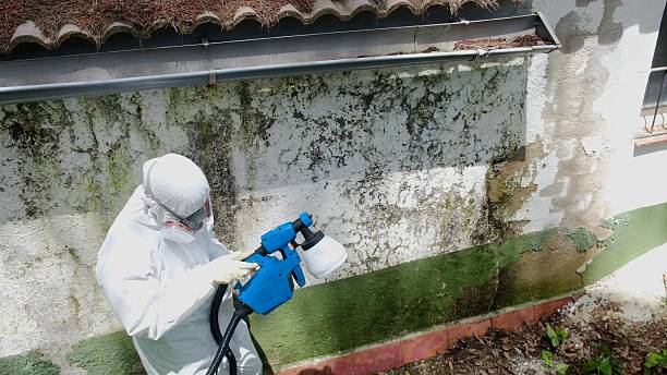 Top rated local Mold Cleanup specialists in Yeagertown, PA